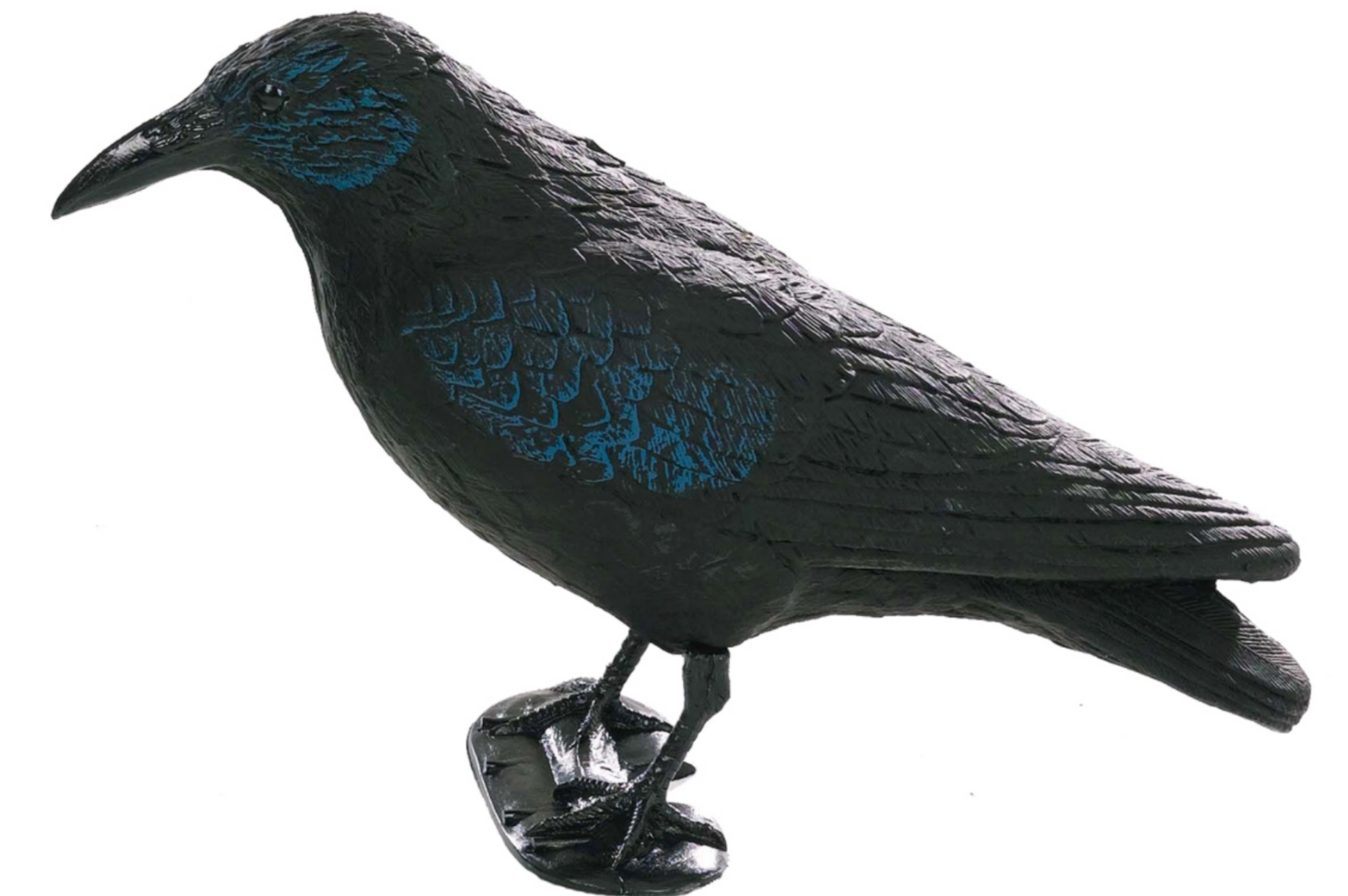 East Anglian Flocked Crow Decoy With Legs and Stake